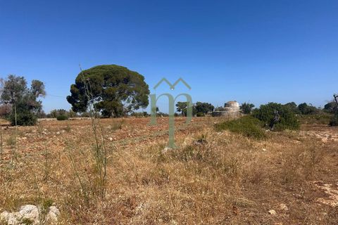Ruinere i Carovigno, Brindisi, Carovigno - € 385.000 | Ref: Proprietà Pinea - foto 39